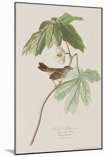 Illustration from 'Birds of America', 1827-38-John James Audubon-Mounted Giclee Print