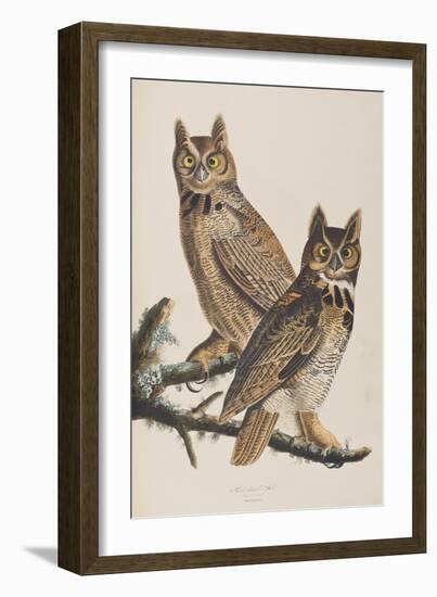 Illustration from 'Birds of America', 1827-38-John James Audubon-Framed Giclee Print