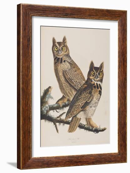 Illustration from 'Birds of America', 1827-38-John James Audubon-Framed Giclee Print