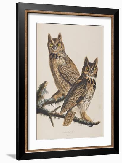 Illustration from 'Birds of America', 1827-38-John James Audubon-Framed Giclee Print