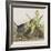 Illustration from 'Birds of America', 1827-38-John James Audubon-Framed Giclee Print