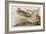 Illustration from 'Birds of America', 1827-38-John James Audubon-Framed Giclee Print