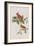 Illustration from 'Birds of America', 1827-38-John James Audubon-Framed Giclee Print