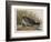 Illustration from 'Birds of America', 1827-38-John James Audubon-Framed Giclee Print