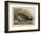 Illustration from 'Birds of America', 1827-38-John James Audubon-Framed Giclee Print