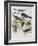 Illustration from 'Birds of America', 1827-38-John James Audubon-Framed Giclee Print