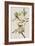 Illustration from 'Birds of America', 1827-38-John James Audubon-Framed Giclee Print