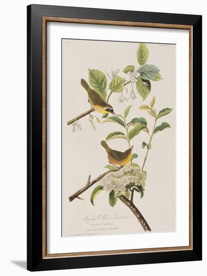 Illustration from 'Birds of America', 1827-38-John James Audubon-Framed Giclee Print