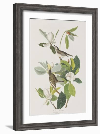 Illustration from 'Birds of America', 1827-38-John James Audubon-Framed Giclee Print