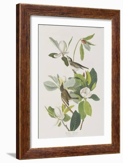 Illustration from 'Birds of America', 1827-38-John James Audubon-Framed Giclee Print