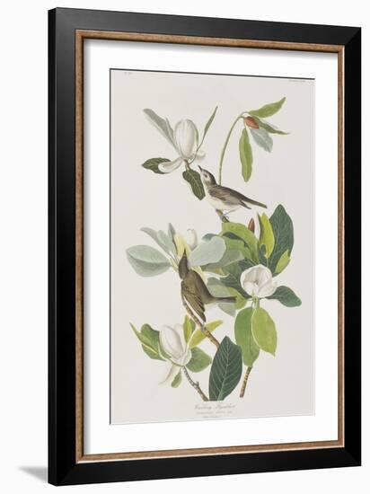 Illustration from 'Birds of America', 1827-38-John James Audubon-Framed Giclee Print