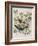 Illustration from 'Birds of America', 1827-38-John James Audubon-Framed Giclee Print