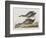 Illustration from 'Birds of America', 1827-38-John James Audubon-Framed Giclee Print