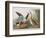 Illustration from 'Birds of America', 1827-38-John James Audubon-Framed Giclee Print