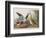 Illustration from 'Birds of America', 1827-38-John James Audubon-Framed Giclee Print