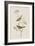 Illustration from 'Birds of America', 1827-38-John James Audubon-Framed Giclee Print