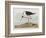 Illustration from 'Birds of America', 1827-38-John James Audubon-Framed Giclee Print