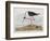 Illustration from 'Birds of America', 1827-38-John James Audubon-Framed Giclee Print