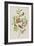 Illustration from 'Birds of America', 1827-38-John James Audubon-Framed Giclee Print