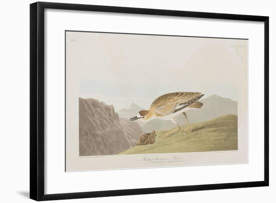 Illustration from 'Birds of America', 1827-38-John James Audubon-Framed Giclee Print