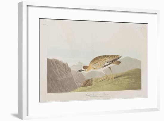 Illustration from 'Birds of America', 1827-38-John James Audubon-Framed Giclee Print