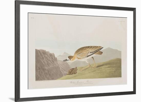 Illustration from 'Birds of America', 1827-38-John James Audubon-Framed Giclee Print