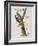 Illustration from 'Birds of America', 1827-38-John James Audubon-Framed Giclee Print