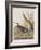 Illustration from 'Birds of America', 1827-38-John James Audubon-Framed Giclee Print