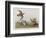 Illustration from 'Birds of America', 1827-38-John James Audubon-Framed Giclee Print