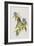 Illustration from 'Birds of America', 1827-38-John James Audubon-Framed Giclee Print