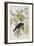 Illustration from 'Birds of America', 1827-38-John James Audubon-Framed Giclee Print