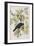 Illustration from 'Birds of America', 1827-38-John James Audubon-Framed Giclee Print