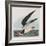 Illustration from 'Birds of America', 1827-38-John James Audubon-Framed Giclee Print