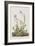 Illustration from 'Birds of America', 1827-38-John James Audubon-Framed Giclee Print