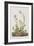 Illustration from 'Birds of America', 1827-38-John James Audubon-Framed Giclee Print