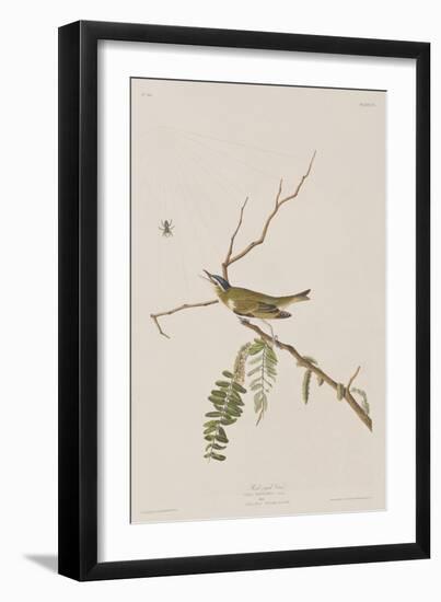 Illustration from 'Birds of America', 1827-38-John James Audubon-Framed Giclee Print