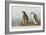 Illustration from 'Birds of America', 1827-38-John James Audubon-Framed Giclee Print