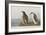 Illustration from 'Birds of America', 1827-38-John James Audubon-Framed Giclee Print