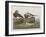 Illustration from 'Birds of America', 1827-38-John James Audubon-Framed Giclee Print