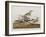 Illustration from 'Birds of America', 1827-38-John James Audubon-Framed Giclee Print