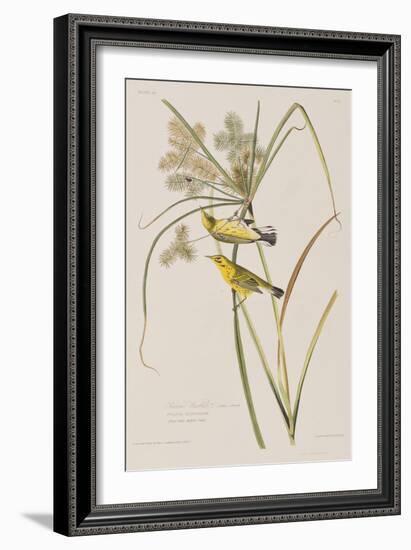 Illustration from 'Birds of America', 1827-38-John James Audubon-Framed Giclee Print