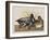 Illustration from 'Birds of America', 1827-38-John James Audubon-Framed Giclee Print