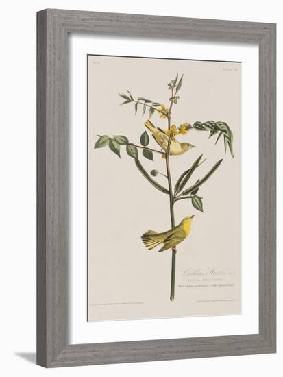 Illustration from 'Birds of America', 1827-38-John James Audubon-Framed Giclee Print