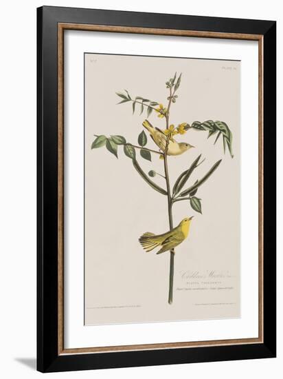 Illustration from 'Birds of America', 1827-38-John James Audubon-Framed Giclee Print