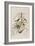 Illustration from 'Birds of America', 1827-38-John James Audubon-Framed Giclee Print