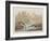 Illustration from 'Birds of America', 1827-38-John James Audubon-Framed Giclee Print