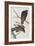 Illustration from 'Birds of America', 1827-38-John James Audubon-Framed Giclee Print