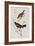 Illustration from 'Birds of America', 1827-38-John James Audubon-Framed Giclee Print