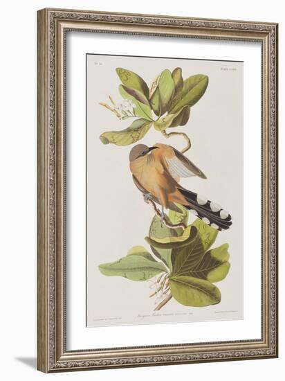 Illustration from 'Birds of America', 1827-38-John James Audubon-Framed Giclee Print