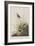 Illustration from 'Birds of America', 1827-38-John James Audubon-Framed Giclee Print